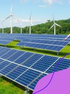 Sustainable investment opportunities in renewable energy